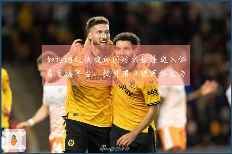 如何通过快捷访问方式快速进入体育直播平台，提升用户使用体验与功能探索