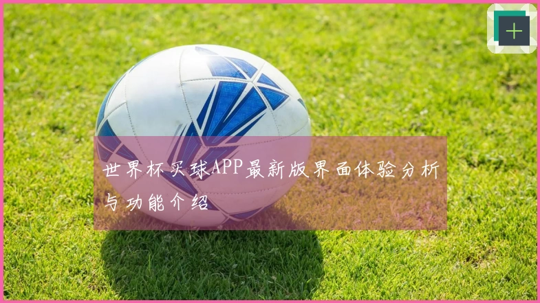 世界杯买球APP最新版界面体验分析与功能介绍