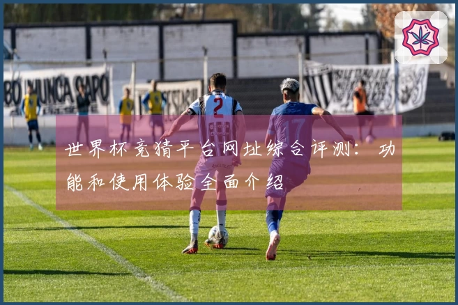 世界杯竞猜平台网址综合评测：功能和使用体验全面介绍
