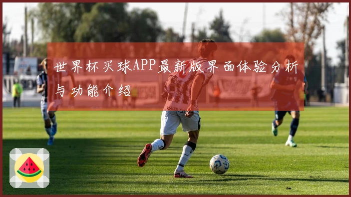 世界杯买球APP最新版界面体验分析与功能介绍